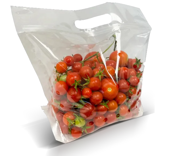 9.5" x 10" + 3.75"BG (2 lbs) 2.5 Mil Polypropylene Zipper Closure Vented Produce Pouch (250/CS)