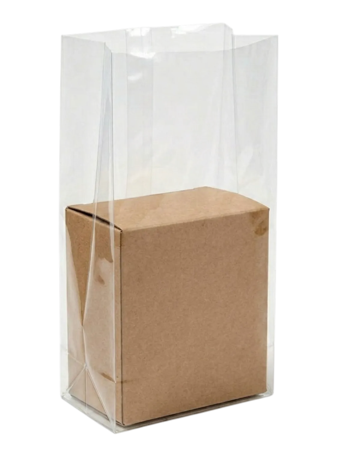 2 Mil Gusseted Poly Bags